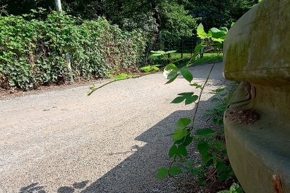 bio wegedecke radwege