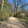 Bio wegedecke