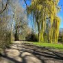 wassergebundene wegedecke KoMex Bio naturell radwege