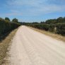 KoMex BIO Naturel Landwirtschaftsweg Laag Zuthem