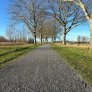 halfverharding