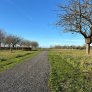 ijzendijke