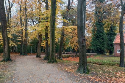 Barockgarten Wanderwege aus KoMex Naturell