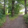DurEko-Mix-Waldweg im Bürgermeister-Bühner-Park in Issum Sevelen
