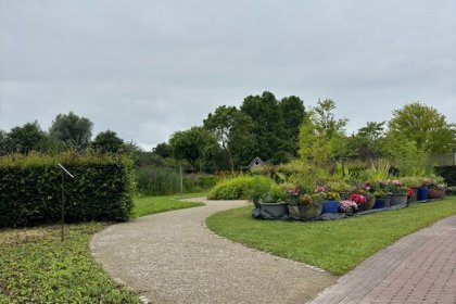 KoMex gelb Wanderwege Blumenpark Appeltern Gelderland