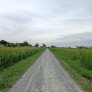 Neuer Wanderweg zum ehemaligen Friedhof von Onderwierum mit DurEko-Mix